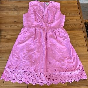 J. Crew Dress